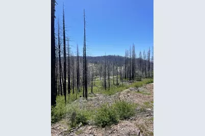 4905 Deerwood Court, Grizzly Flats, CA 95636 - Photo 9