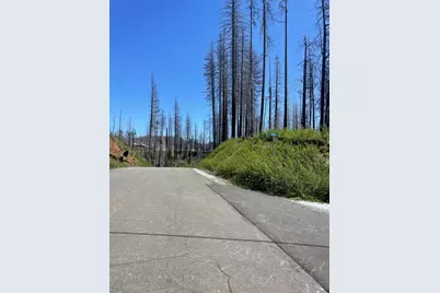 4905 Deerwood Court, Grizzly Flats, CA 95636 - Photo 3