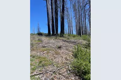 4905 Deerwood Court, Grizzly Flats, CA 95636 - Photo 7