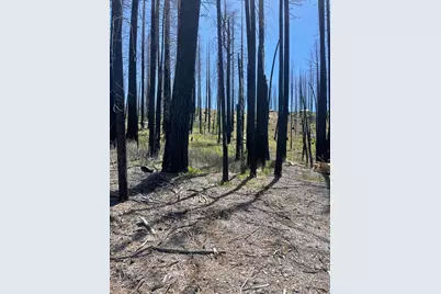 5106 Parkside Drive, Grizzly Flats, CA 95636 - Photo 5