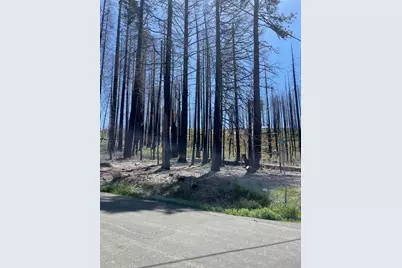 5106 Parkside Drive, Grizzly Flats, CA 95636 - Photo 3