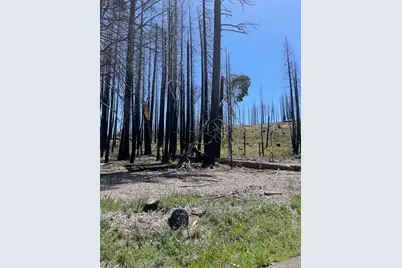 5106 Parkside Drive, Grizzly Flats, CA 95636 - Photo 7