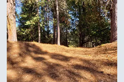 1812 Sandalwood Dr, Murphys, CA 95247 - Photo 1