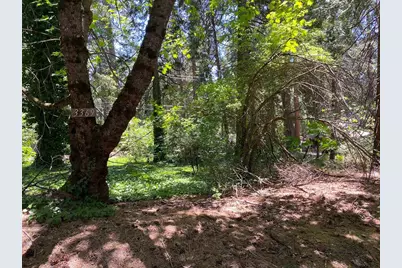 3045 Midway Avenue, Pollock Pines, CA 95726 - Photo 1