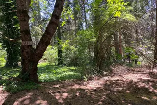 3045 Midway Ave, Pollock Pines, CA 95726 - Photo 1