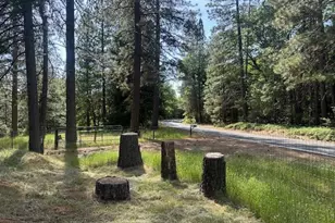 4690 Blue Mountain Rd, Wilseyville, CA 95257 - Photo 37