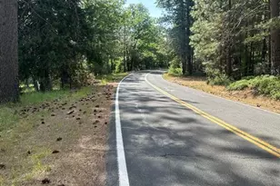 4690 Blue Mountain Rd, Wilseyville, CA 95257 - Photo 39