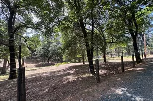 4690 Blue Mountain Rd, Wilseyville, CA 95257 - Photo 33