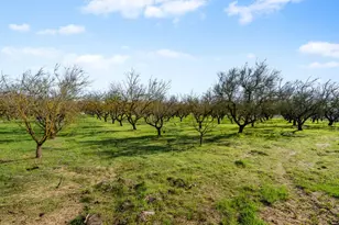 6312 Skittone Rd, Modesto, CA 95356 - Photo 75