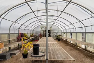 20592 Ayers Rd, Escalon, CA 95320 - Photo 93