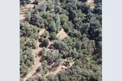 13813 County 270 Road, Oregon House, CA 95962 - Photo 7