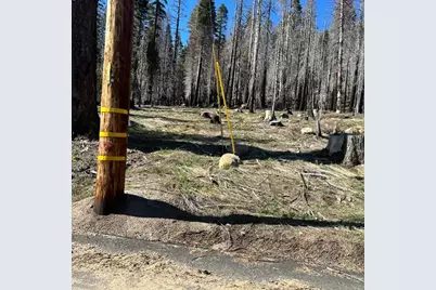 7177 Sierra Pines Road, Twin Bridges, CA 95735 - Photo 5