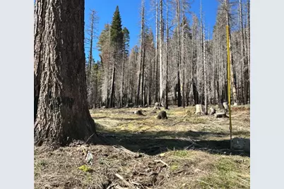 7177 Sierra Pines Road, Twin Bridges, CA 95735 - Photo 19