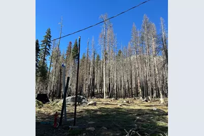 7177 Sierra Pines Road, Twin Bridges, CA 95735 - Photo 13