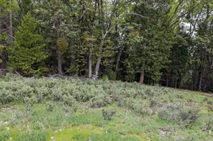 16805 Jones Ridge Rd, Grass Valley, CA 95945 - Photo 1