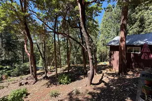 23445 Robin Rd, Pioneer, CA 95666 - Photo 33