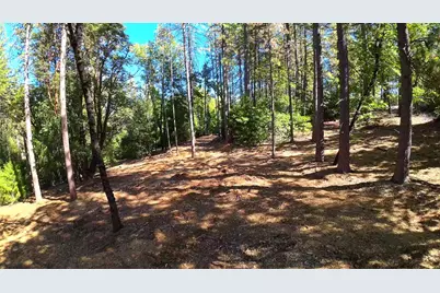 6324 Dickinson Road, Placerville, CA 95667 - Photo 25