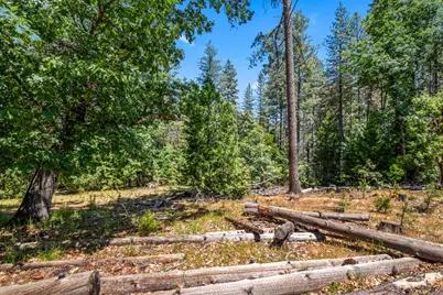 6324 Dickinson Road, Placerville, CA 95667 - Photo 11