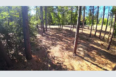 6324 Dickinson Road, Placerville, CA 95667 - Photo 35