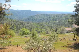 1202 Heather Dr, Murphys, CA 95247 - Photo 1