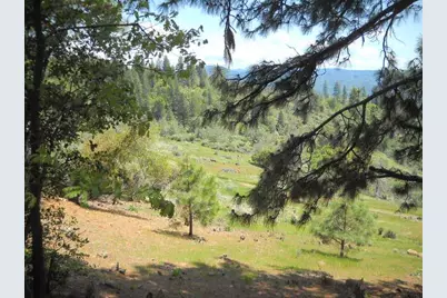 1202 Heather Drive, Murphys, CA 95247 - Photo 5