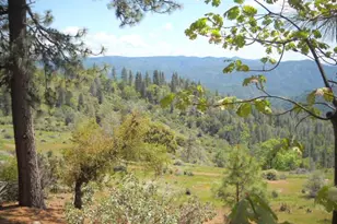 1202 Heather Dr, Murphys, CA 95247 - Photo 1