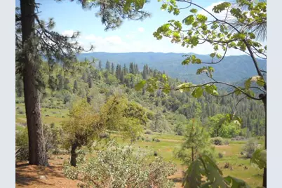 1202 Heather Drive, Murphys, CA 95247 - Photo 5