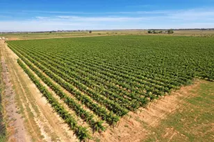 14226 State Hwy 160, Walnut Grove, CA 95690 - Photo 1