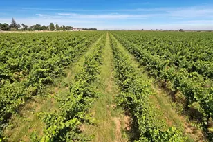 14226 State Hwy 160, Walnut Grove, CA 95690 - Photo 7