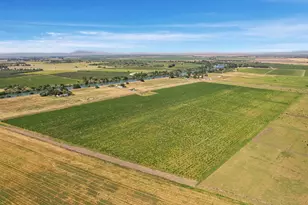 14226 State Hwy 160, Walnut Grove, CA 95690 - Photo 19