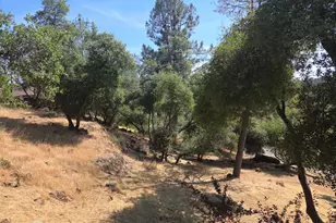 19215 Norlene Way, Grass Valley, CA 95949 - Photo 1