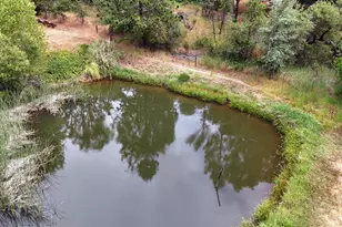 15655 Rough and Ready Hwy, Rough and Ready, CA 95975 - Photo 43