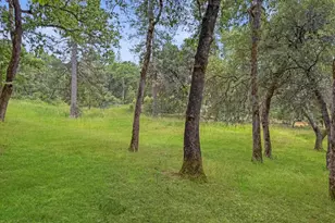 15655 Rough and Ready Hwy, Rough and Ready, CA 95975 - Photo 39