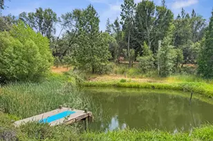 15655 Rough and Ready Hwy, Rough and Ready, CA 95975 - Photo 3