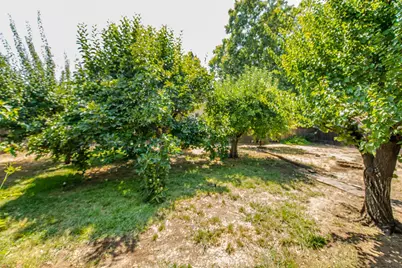 204 Emery Street, Winters, CA 95694 - Photo 35