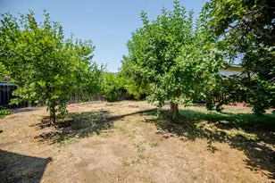 204 Emery St, Winters, CA 95694 - Photo 31