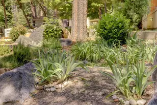 Willow Valley Rd, Nevada City, CA 95959 - Photo 39