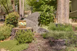 Willow Valley Rd, Nevada City, CA 95959 - Photo 41