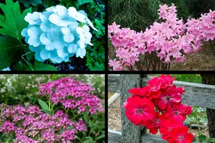 260 Boulder St, Nevada City, CA 95959 - Photo 71