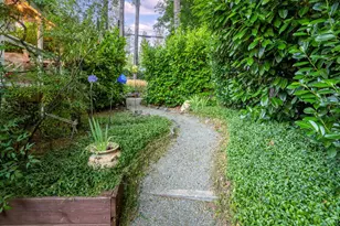 260 Boulder St, Nevada City, CA 95959 - Photo 47