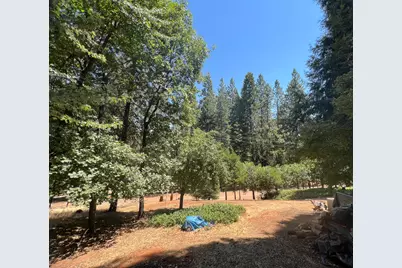 16895 Silver S Drive, Pioneer, CA 95666 - Photo 25