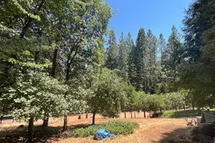 16895 Silver S Dr, Pioneer, CA 95666 - Photo 25