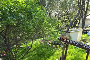 17772 Nills Way, Jackson, CA 95642 - Photo 17