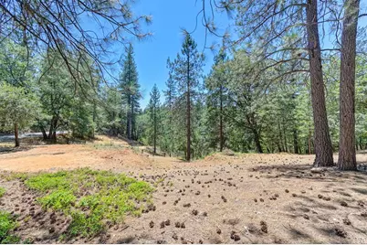 26375 Barb Wire Lane, Colfax, CA 95713 - Photo 49