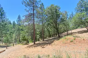 26375 Barb Wire Ln, Colfax, CA 95713 - Photo 51