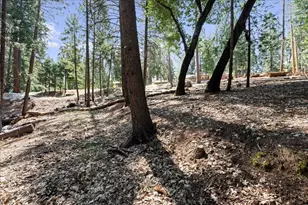 5521 Begonia Dr, Pollock Pines, CA 95726 - Photo 1