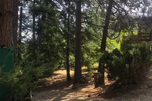 17503 Alexandra Way, Grass Valley, CA 95949 - Photo 33