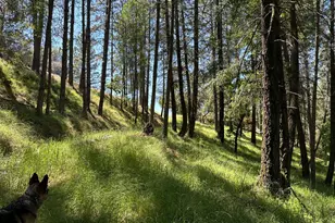 2663 Sweetwater Trail Trail, Cool, CA 95614 - Photo 1