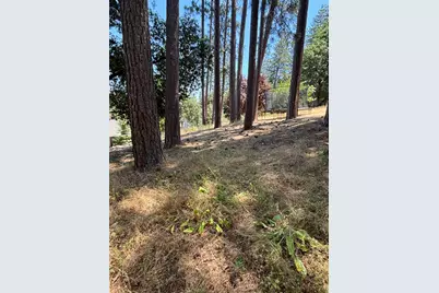 20524 Nob Hill, Groveland, CA 95321 - Photo 5