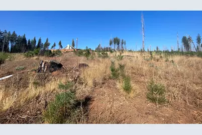 10141 Grizzly Flat Road, Grizzly Flats, CA 95636 - Photo 7